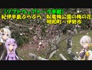 【ソフトウェアトーク車載】紀伊半島ぶらぶら　臥竜梅公園の梅の花