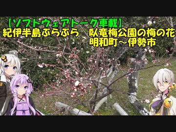 【ソフトウェアトーク車載】紀伊半島ぶらぶら　臥竜梅公園の梅の花