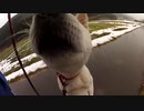 ハッピーちゃんとの散歩 2012年1月11日