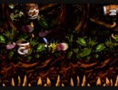 【DK2】8-3 クロコジャングル【102%】