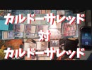 【録画対戦】カルドーサレッド対カルドーサレッド