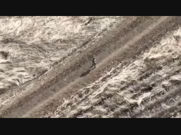 ホモと見るウクライナドローンとロシア兵の追いかけっこ3