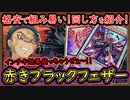 3選【回し方】格安最新 インチキ効果使ってカラミティ！初心者オススメ BF【ブラックフェザー】解説【MasterDuel】実況【遊戯王マスターデュエル】2024