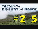 #2-5 エルデンリングを 初見で【協力プレイ】するのです