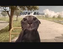 ヒキニート時代の密かな楽しみだったこと1選　#猫ミーム #猫マニ