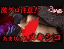 【検索してはいけない言葉】メキシコの良いところを探す旅に出たい【悪魔の実況part132】
