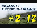 #2-12 エルデンリングを 初見で【協力プレイ】するのです