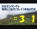#3-1 エルデンリングを 初見で【協力プレイ】するのです