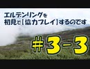 #3-3 エルデンリングを 初見で【協力プレイ】するのです