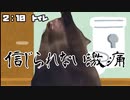 尿路結石になった話（１回目）前編【猫ミーム】