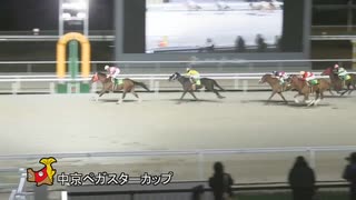 2024年2月27日名古屋競馬9R 第8回中京ペガスターカップ(準重賞・3歳) ミトノウォリアー