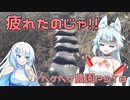 2024年2月27日　農作業日誌P918　土木工事みたいな作業をしていたよ