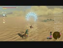 #114【ゼルダの伝説 ブレス オブ ザ ワイルド】光輪スナザラシ！