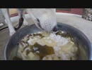 ハッピーちゃんの今日のごはん 2016年10月15日
