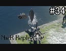 【実況】少年と白い本と呪われし妹君【ニーア レプリカント ver.1.22474487139...】part34