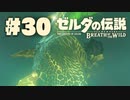 【ぽつぽつ実況 #30】兄弟【ゼルダの伝説BoW】
