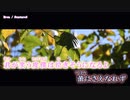 【ニコカラ】Eren【off vocal】