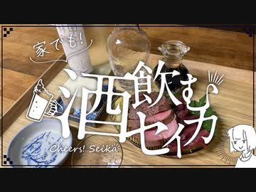 グラスを買ったよ 酒飲むセイカ
