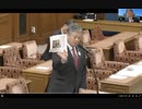 ❸ 予算委員会分科会原口一博質疑振り返り　ジェノサイドに対する岸田政権の姿勢とガザ地区の人道状況の危機的状況について
