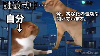 #1自分「ん！？宗教勧誘だ…」→ノリで付き合った結果ww(実話)#猫ミーム