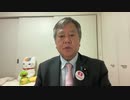 ❷予算委員会分科会原口一博質疑振り返りパンデミック合意とIHR、WHOそのものの問題
