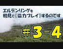 #3-4 エルデンリングを 初見で【協力プレイ】するのです