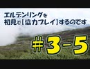 #3-5 エルデンリングを 初見で【協力プレイ】するのです