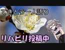 てきとう一人語り　＃１４８