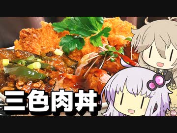 牛？豚？鶏？全部載せればいいだろ丼【ニコ食フェス2024冬【肉】】