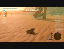 #116【ゼルダの伝説 ブレス オブ ザ ワイルド】キングラジークの倒し方！