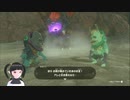 【ゼルダの伝説】周回遅れのティアキン Part95【TotK】