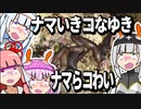 【琴葉姉妹の磯遊び】ナマいき コなゆき ナマらコわい【VOICEROIDナマコ解説】