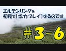 #3-6 エルデンリングを 初見で【協力プレイ】するのです