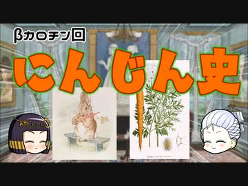 にんじんの歴史（β版）
