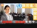 【生配信】国民の議論を”誤情報・偽情報”とWHOで発言する厚労省に直接質問しました