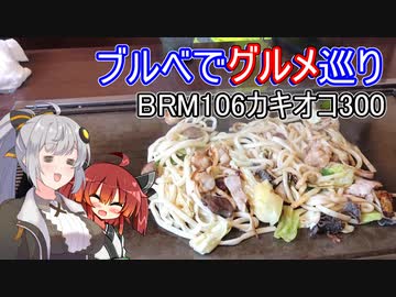 あかり気ままにしまなみ走り Part09【BRM106近畿300km】