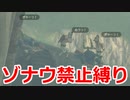 ゾナウ禁止縛りpart19【ティアキン/制限プレイ/ゼルダの伝説ティアーズオブザキングダム】