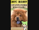 【雑学】面白い雑学213