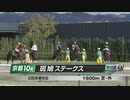 斑鳩ステークス2024【ディオ様】