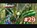 【実況】ゼノブレイドDE #29