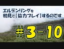 #3-10 エルデンリングを 初見で【協力プレイ】するのです