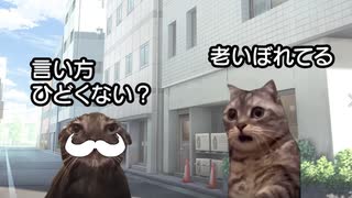 【猫ミーム】葬送のフリーレンのほのぼのシーンをざっくり振り返る