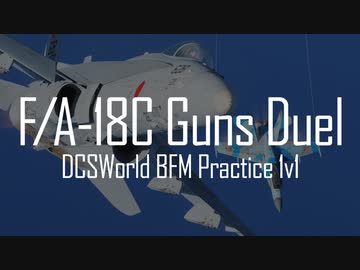【DCS World】F/A-18でBFMの練習をさせてください