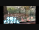 赤ちゃんなまず飼育日記 261日目