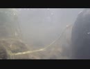 【2回目】GoPro HERO3+ Black Editionを水中に入れた