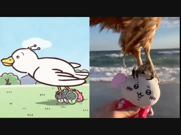 【ちいかわ】連れ去られるシーンのアニメと実写を比べてみた