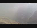 【3回目】GoPro HERO3+ Black Editionを水中に入れた