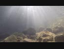 【5回目】GoPro HERO3+ Black Editionを水中に入れた