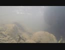 【6回目】GoPro HERO3+ Black Editionを水中に入れた