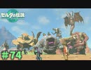 夢を叶えてやったぞ！　「ゼルダの伝説～ティアーズ・オブ・ザ・キングダム」　＃74